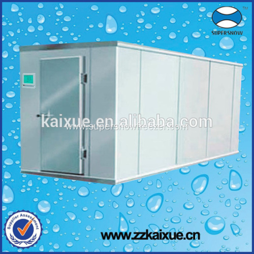 Customized size and style cold store refrigeration equipment